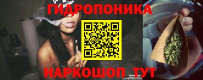 индика Ипатово
